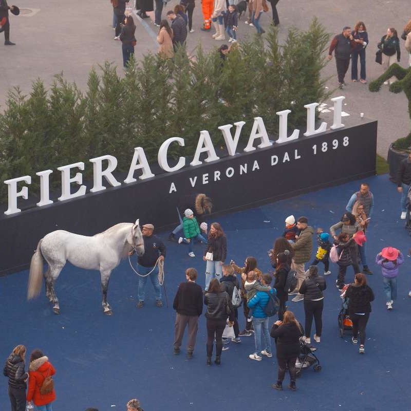 Fieracavalli in Verona